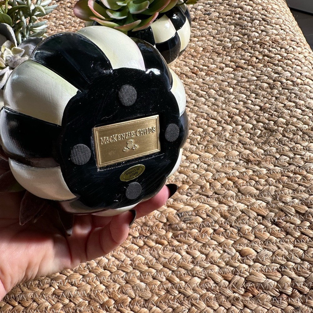 MacKenzie-Childs Black and White Faux Succulent Trio - Picture 3 of 10